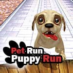 Pet Run Puppy Run