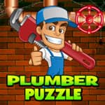 Plumber Puzzle